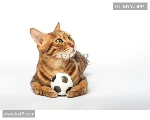 球星猫化身足球高手在赛场上演绎精彩绝伦的比赛瞬间